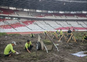 Renovasi Rumput GBK Kembali Tuai Kritik: Benarkah Terlalu Kolot?