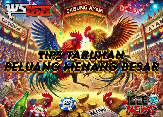 Sabung Ayam WS168