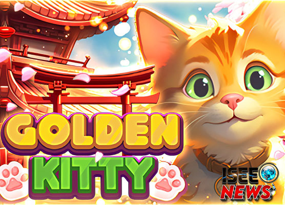 Golden Kitty Bigpot Gaming