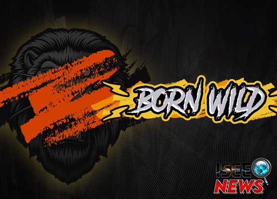 Born Wild Hacksaw