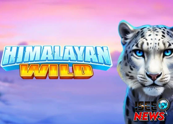 Misteri Hutan Himalaya Wild Temukan Harta Karun di Slot Gacor Ini