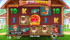 Baru Main Slot? The Dog House Pilihan Tepat untuk Pemula!