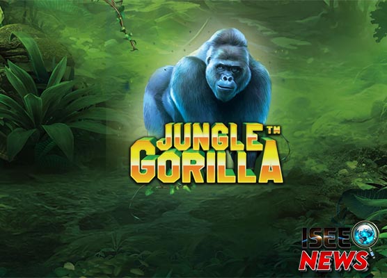 Jungle Gorilla: Investasi Menguntungkan atau Hanya Mimpi?